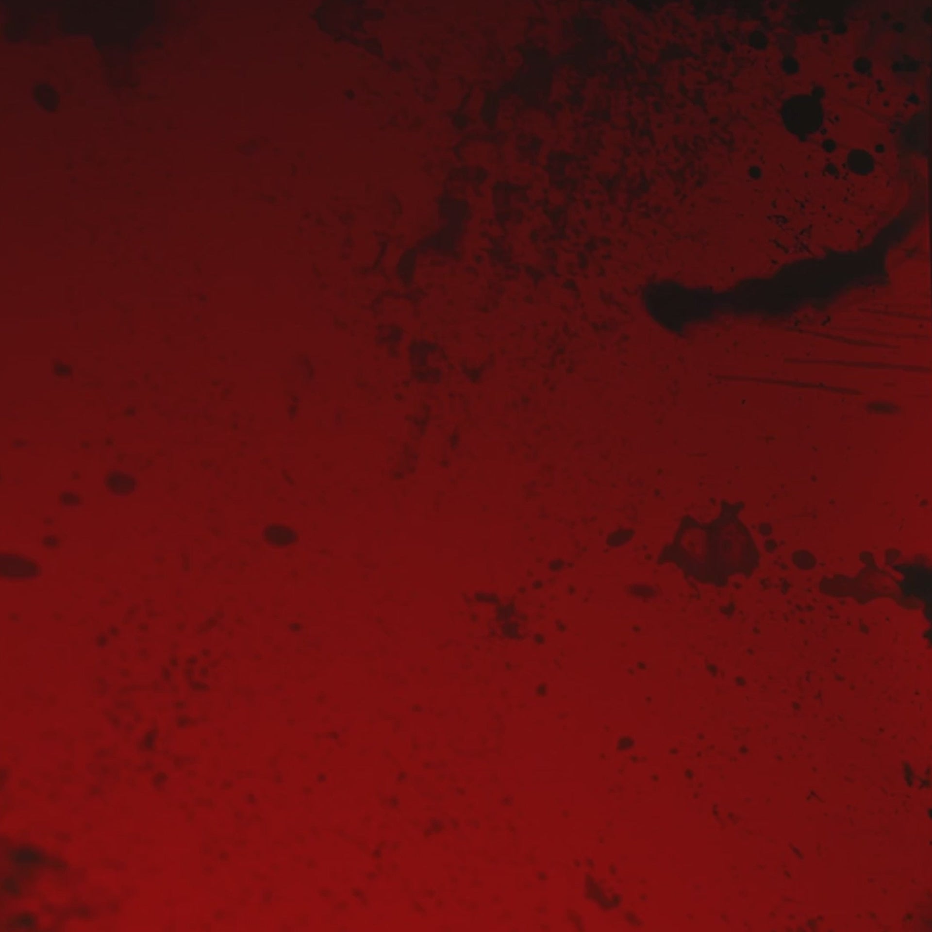 GRAPEBRAIN - GERA GERA MASSIMO